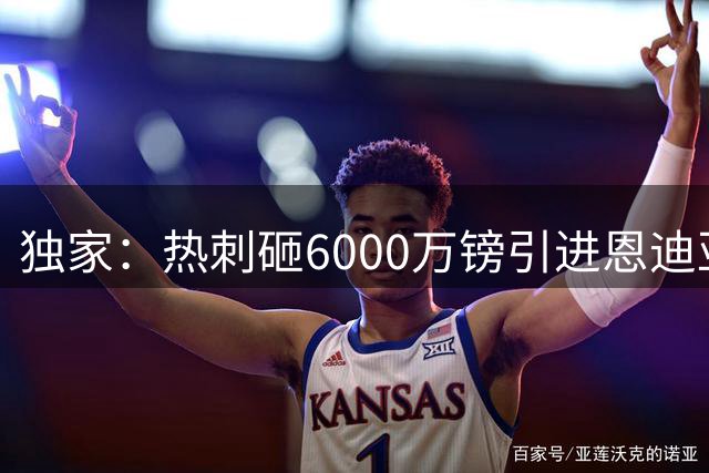 独家：热刺砸6000万镑引进恩迪亚耶 里沙利松3500万回归老东家